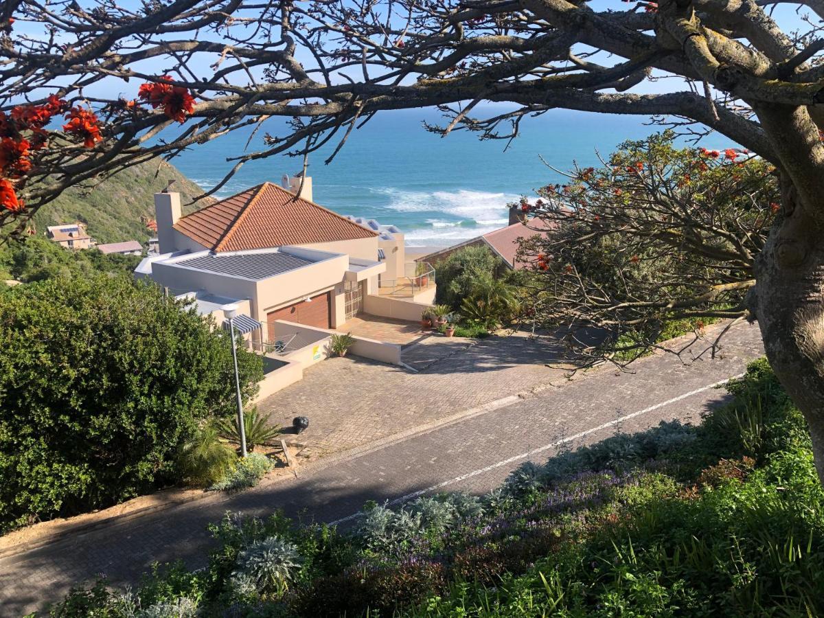 Dutton'S Cove Guest House Herolds Bay Kültér fotó